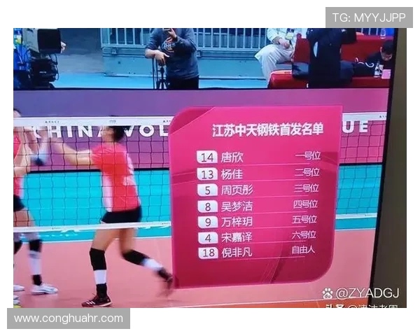 成都排球队实力强劲最新排球力量排行榜前十名揭晓