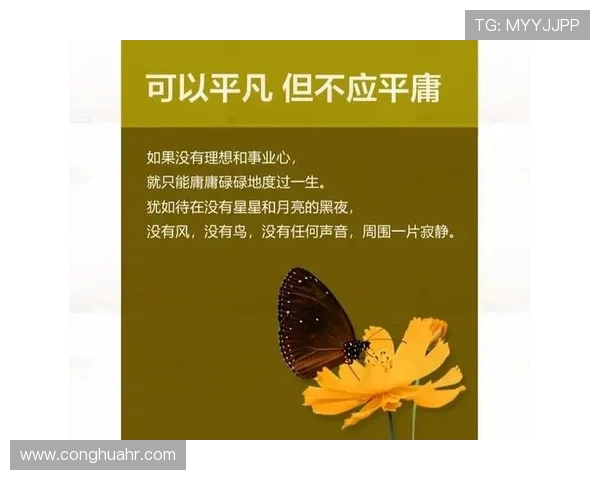 史鸿飞的奋斗历程与人生哲学探讨：从平凡到卓越的心路历程