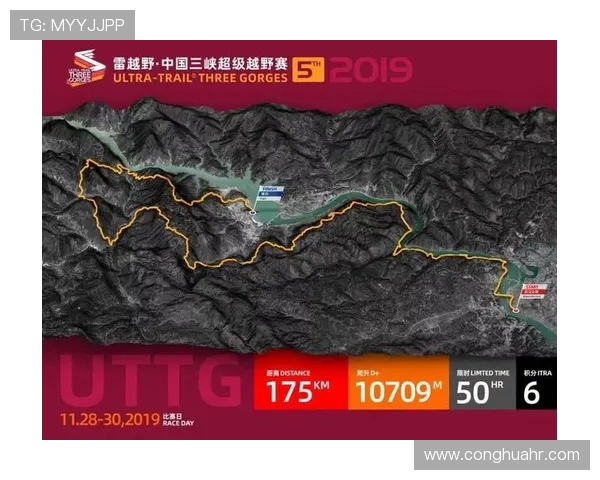 V5战队的崛起之路：从磨砺到辉煌的全景回顾