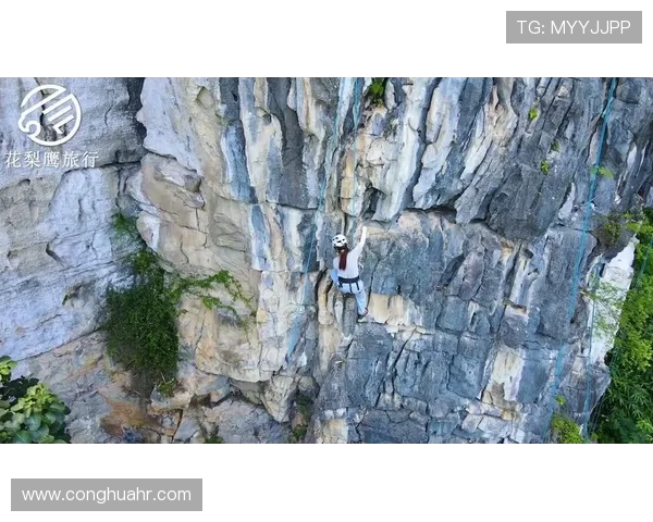 从零基础到高手之路：全面解析攀岩技巧与装备选择指南