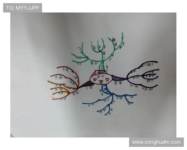 杭州羽毛球队战术解析：从技术细节到比赛策略的全面探讨